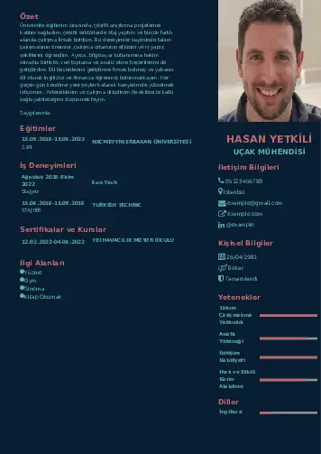 Havacılık Ve Uzay Uçak Mühendisi Cv Örnekleri cv indir